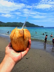 Drinking from a coconut. This is a reason why you should travel internationally.