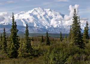 Denali