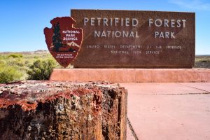 Petrified Forest National Park