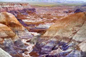 Petrified Forest National Park