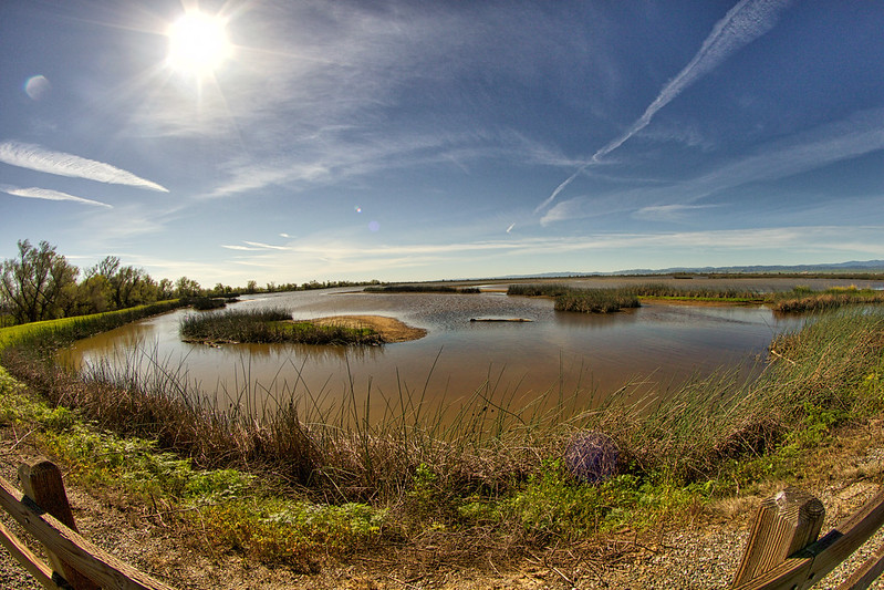 Sacramento National Wildlife Refuge - NuCamp RV