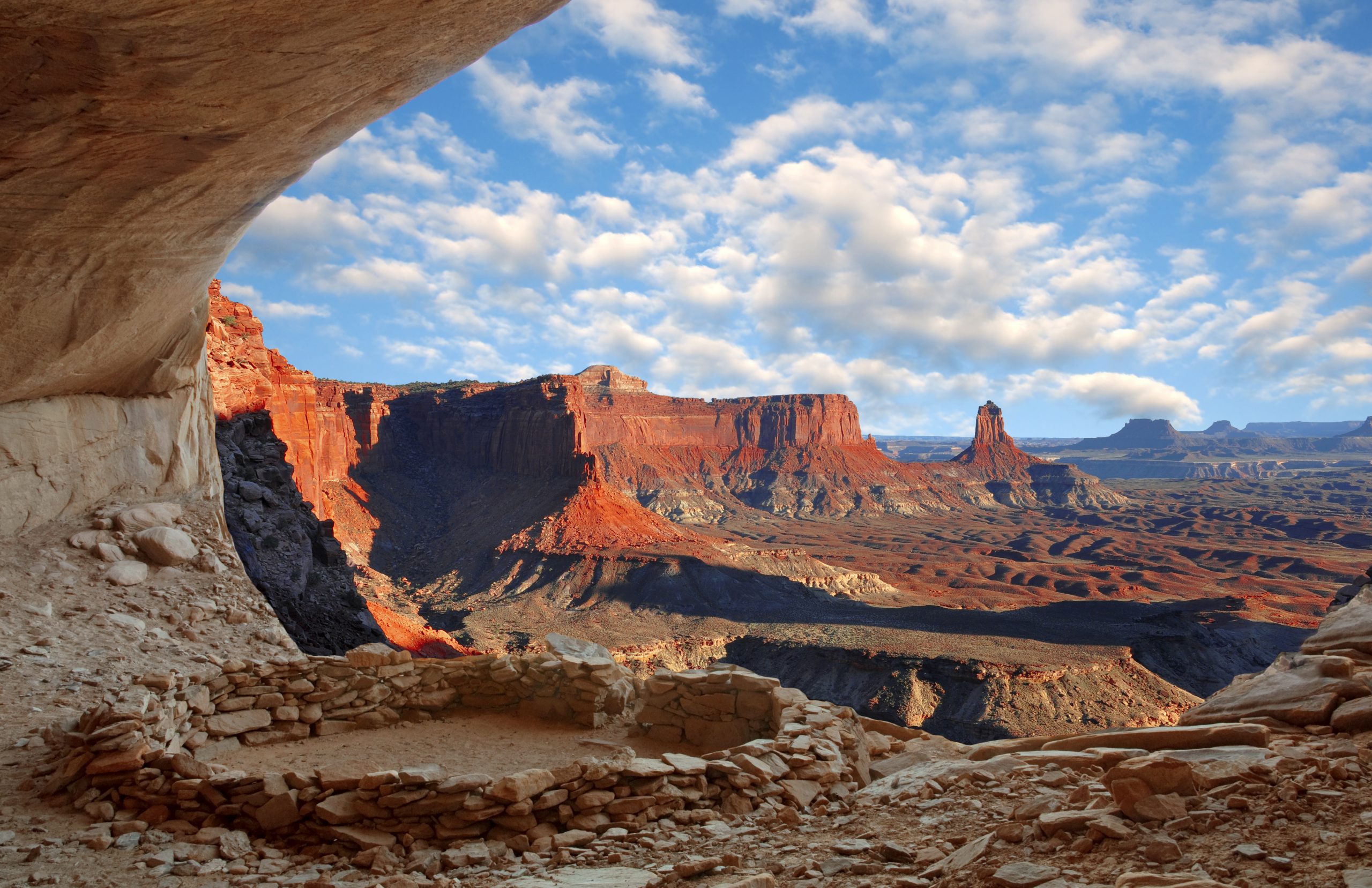 are dogs allowed in canyonlands national park