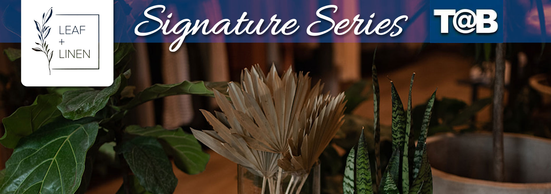 Signature Series TAB Specifications