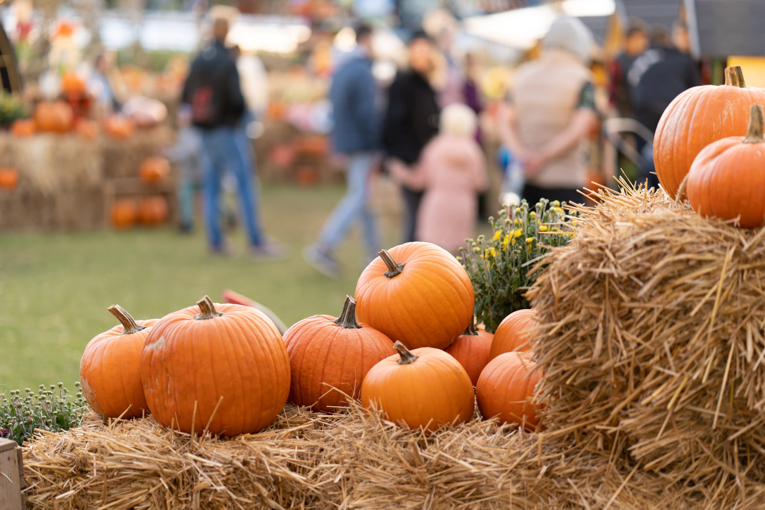 Pumpkin Festivals for 2023 nuCamp RV